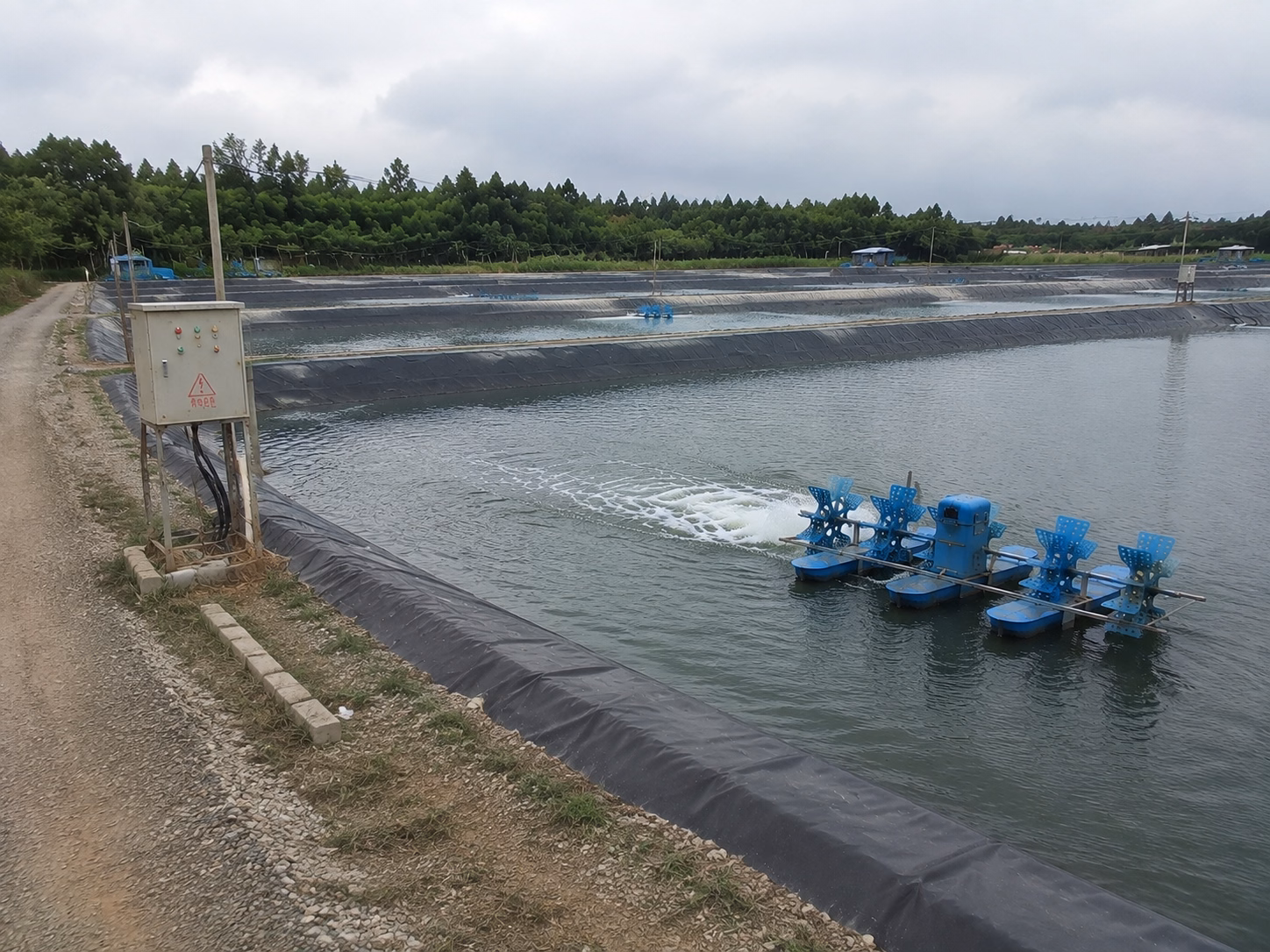 Ao nuôi cá và tôm lót màng HDPE